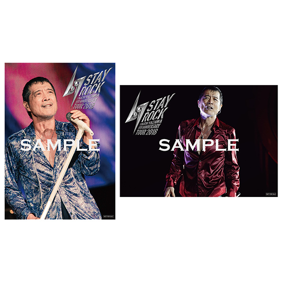 ハピネット/星光堂(卸店)《通常盤》※一部取り扱い無し 予約/購入特典 両面別絵柄A2ポスター